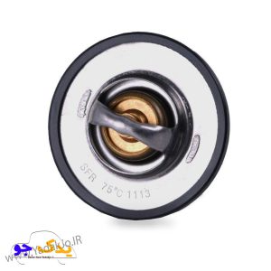 ترموستات ۴۰۵ ۸۳درجه باباپارت