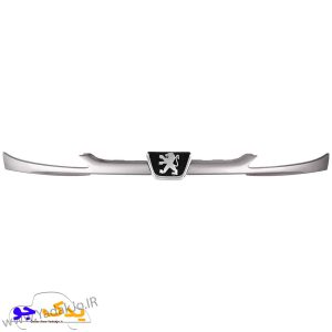 جلو پنجره 206 با آرم