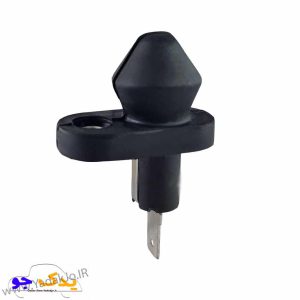 شاسی لادری تیبا و ساینا
