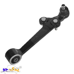طبق ساینا و کوییک امیرنیا