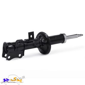 کمک جلو ساینا و کوییک شفت کوتاه عظام