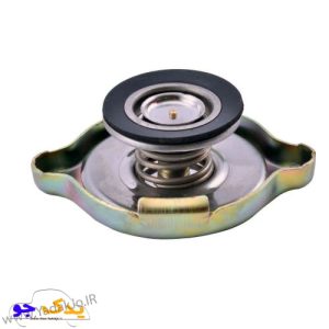 درب رادیاتور پیکان و آردی ایساکو