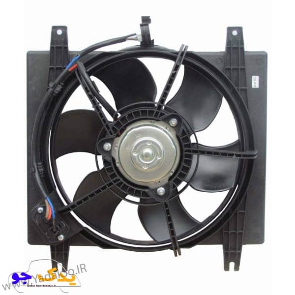 فن کامل ساینا و کوئیک امکو
