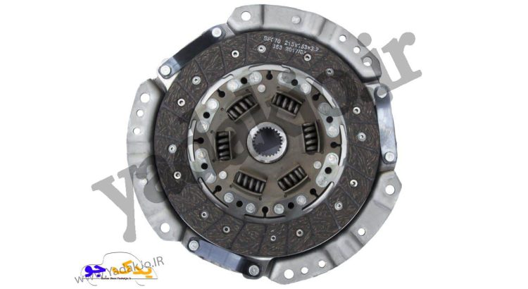 دیسک و صفحه روآ عظام