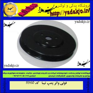 فولی واتر پمپ تیبا
