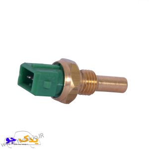 فشنگی آب ۴۰۵ سبز ایساکو