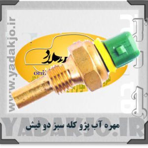 مهره آب پژو سبز دو فیش