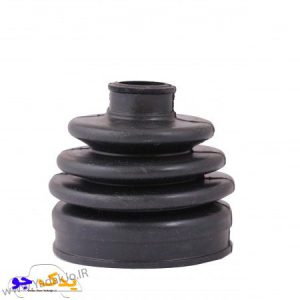 گردگیر پلوس تیبا و ساینا