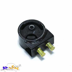 دسته موتور شماره دو تیبا امیرنیا