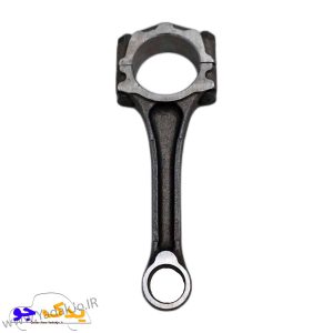 شاتون تیبا و ساینا شرکتی
