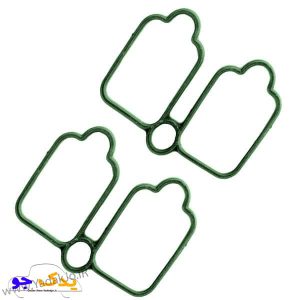 واشر عینکی منیفولد 405 و سمند ویژن